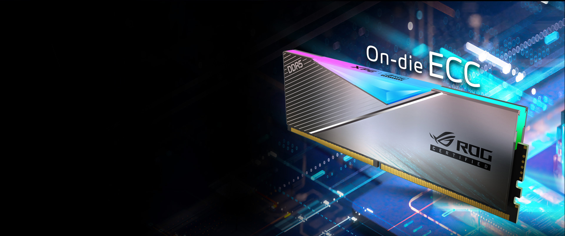 Ram PC Adata XPG Lancer RGB ROG 32GB (2x16GB) DDR5 6600MHz