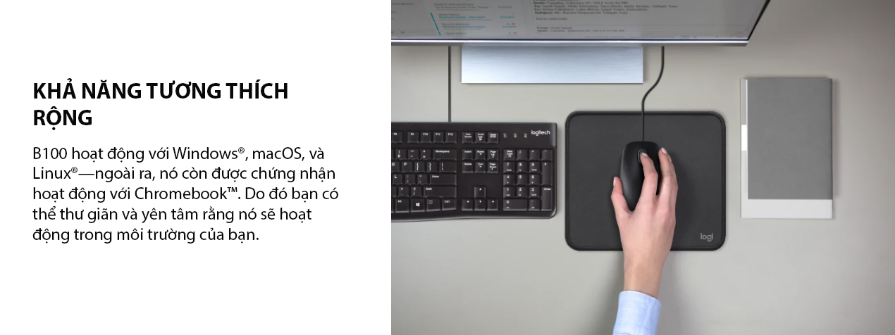 Chuột Logitech B100 Black (910-006605) (USB) 6