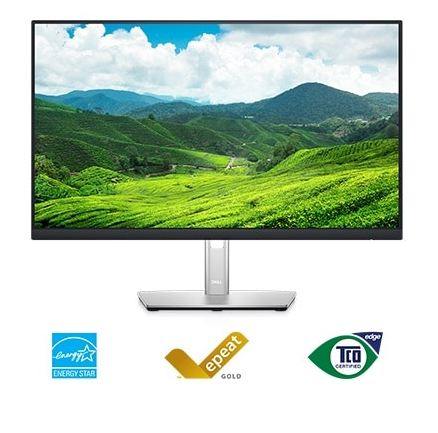 Màn Hình Dell P2422H (1920 x 1080 | IPS | 60Hz | 5Ms)