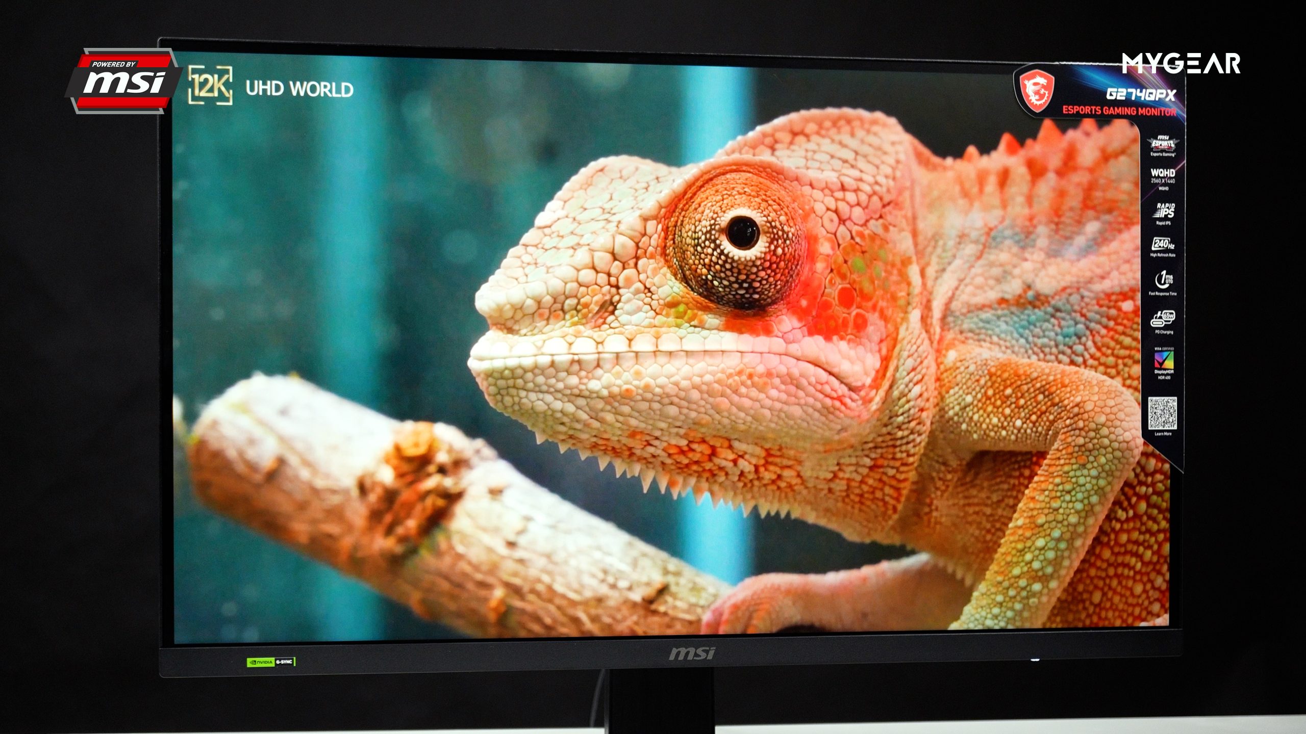 Màn Hình Gaming MSI G274QPX 27 inch WQHD IPS 240Hz 1ms GTG