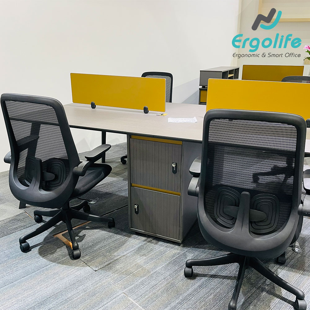 Ghế công thái học cao cấp B2