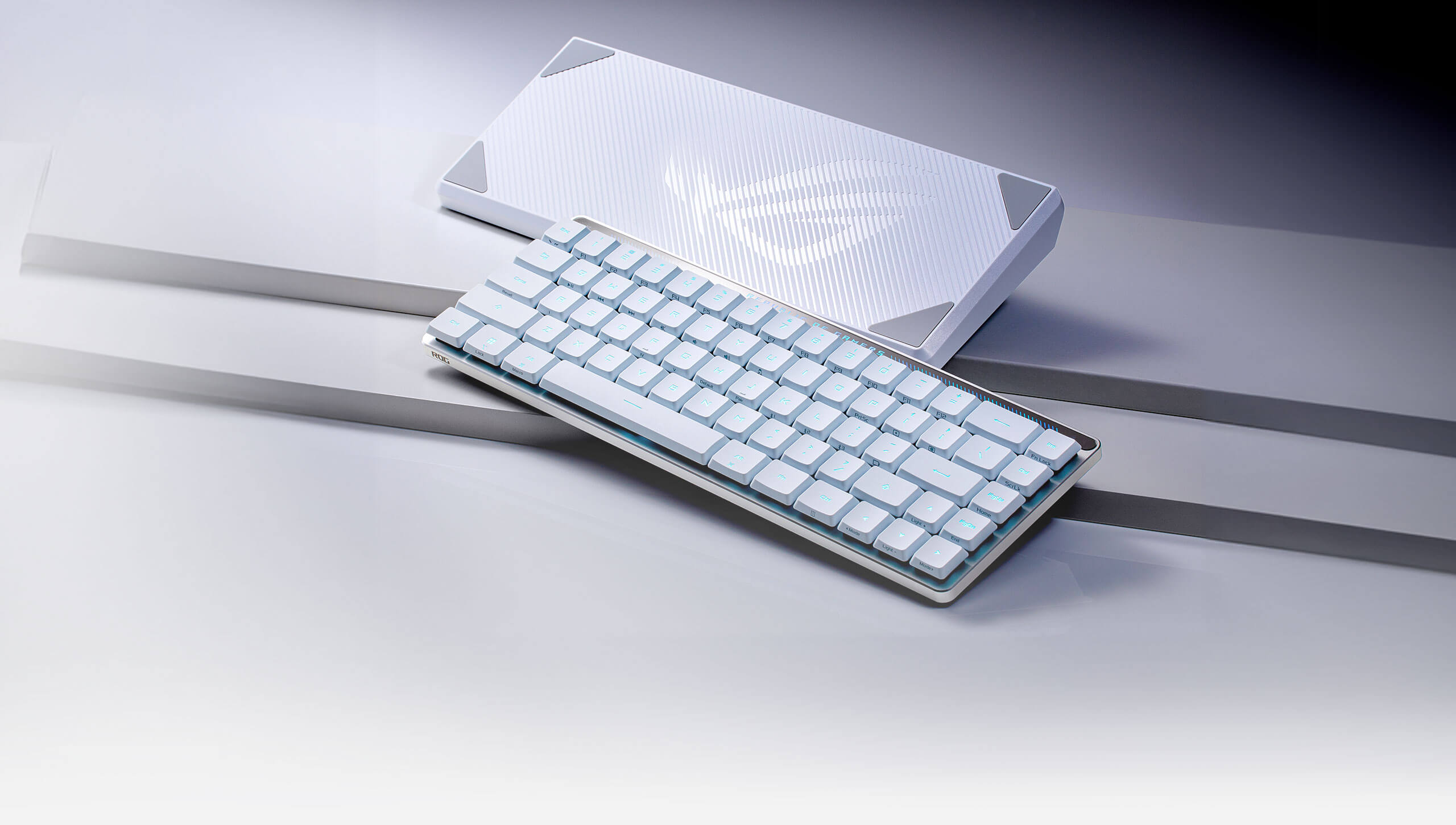 ROG Falchion RX Low Profile và vỏ bọc của nó