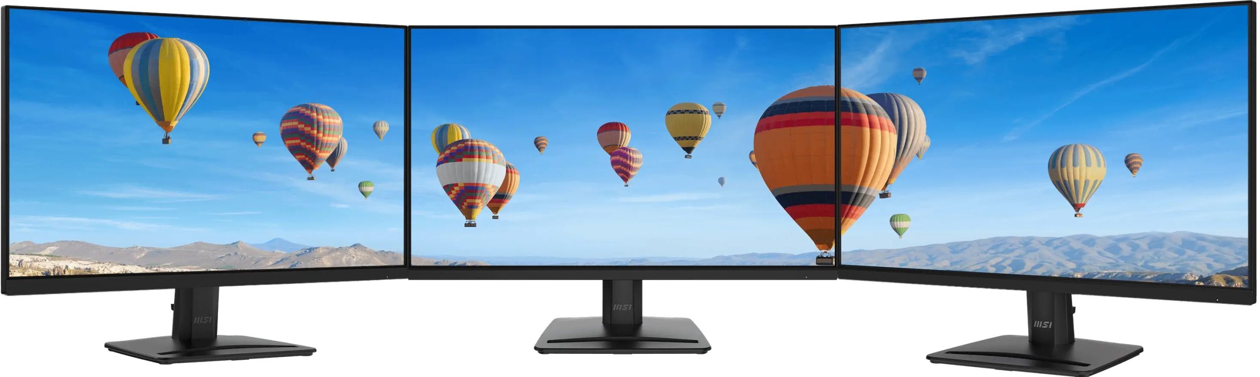 Màn Hình MSI PRO MP251 E2 24.5 inch FHD IPS 120Hz