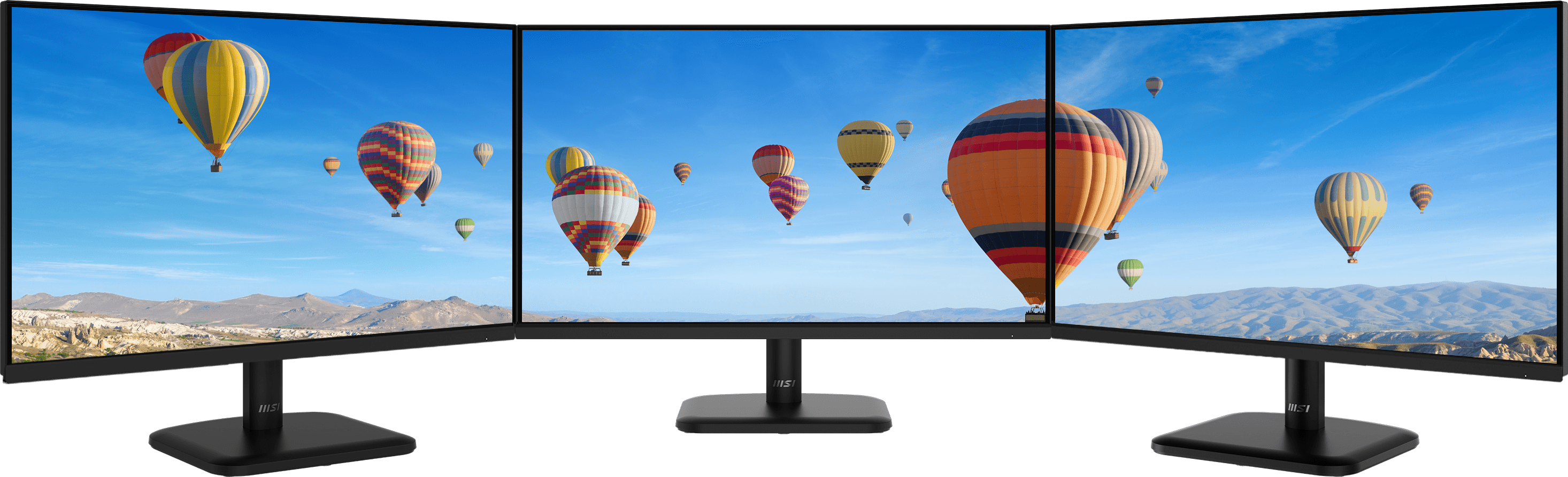 Màn Hình MSI PRO MP251L E2 24.5 inch FHD IPS 120Hz