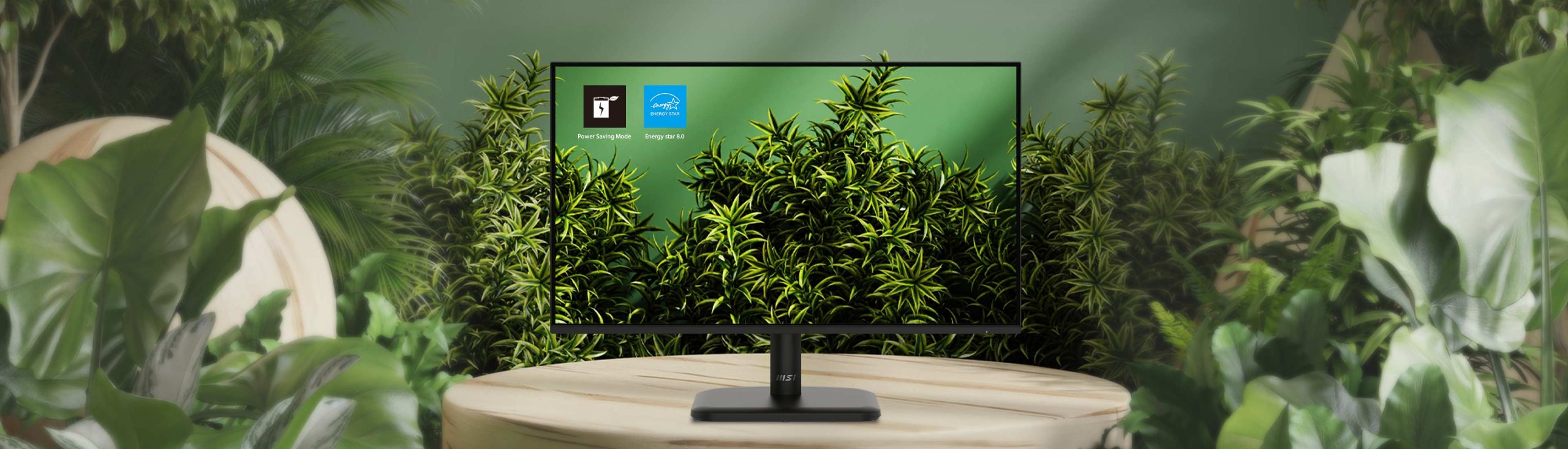 Màn Hình MSI PRO MP251L E2 24.5 inch FHD IPS 120Hz