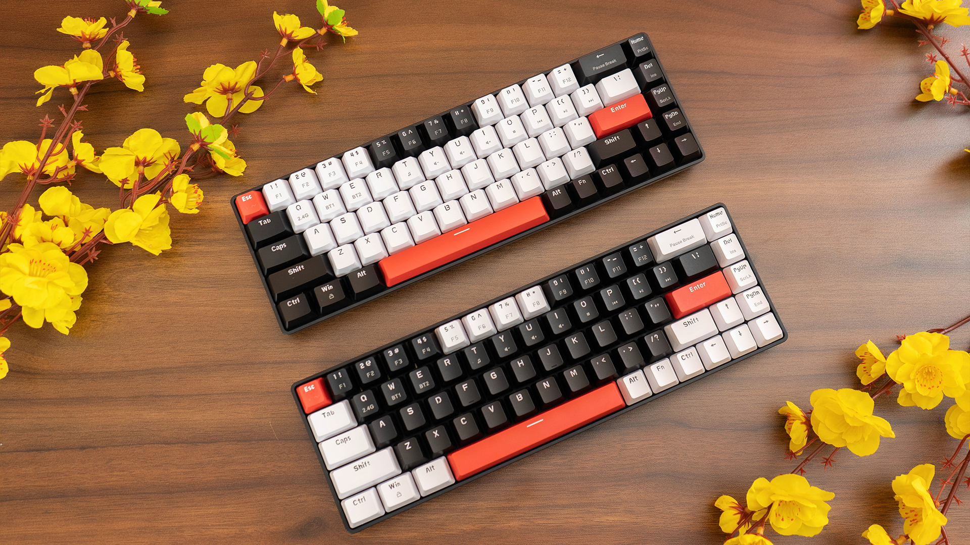 Bàn Phím Cơ Không Dây - E-Dra EK368L Dualmode - Black White