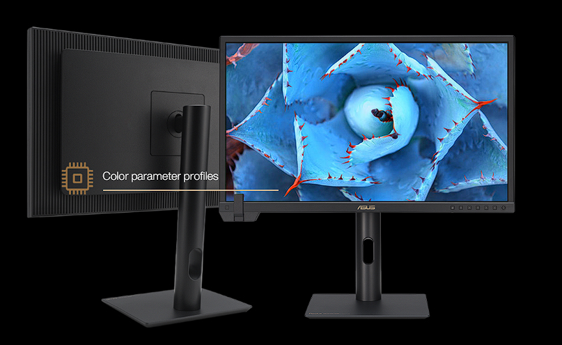 Màn Hình đồ hoạ Asus ProArt PA24US 24 inch IPS UHD 4K 95% DCI-P3 HDR 600 12G-SDI