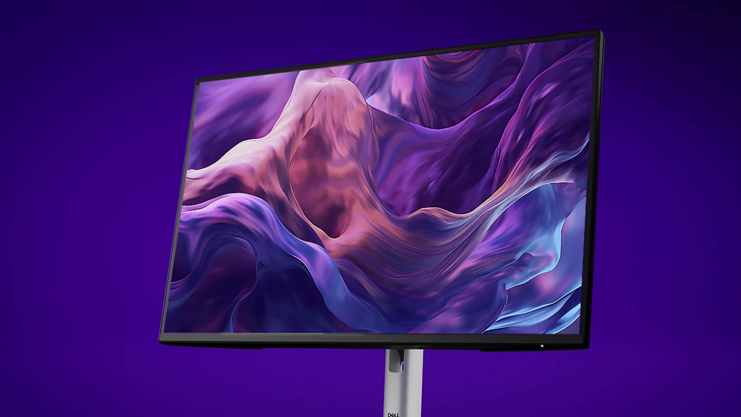 Dell 24 Monitor – P2425H