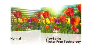 Màn Hình ViewSonic VA1903A 19 inch WXGA TN 60Hz